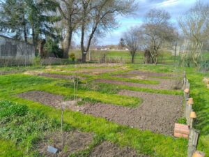 Photo d'une plate bande à nue sur notre jardin - Paysagiste et Permaculture à Angers