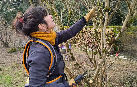 taille d'arbuste résiliences