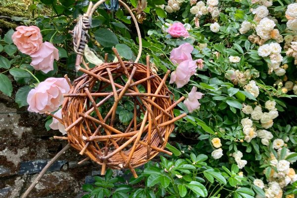 accompagnement-jardin-angers