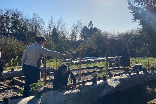 conseil-paysagiste-angers