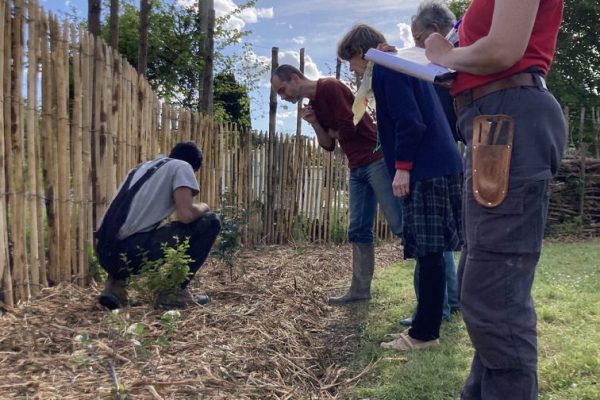 conseils-paysagiste-resiliences